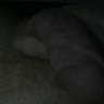 sexyred24