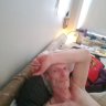 crazyswede69