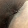 Hornylupe559