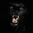 Shadow_Panther