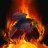FIRE_RAVEN_OF_VALHALLA