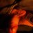 Quin_radhe