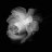 FlowersOfEvil
