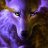 wolfkin