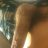 Daddyrayray86