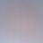 bird1233