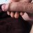 ash55