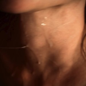 IMG_7042.jpeg