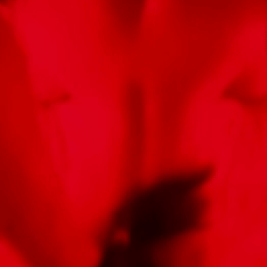 copy_66266B3B-860A-43B8-91D2-50E7D620F752.gif