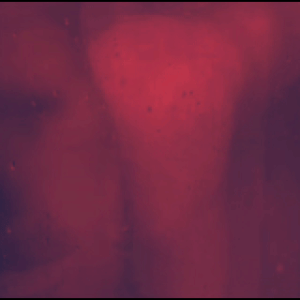 copy_1AB4FE86-FA5D-447D-9220-5CE482B1628F.gif